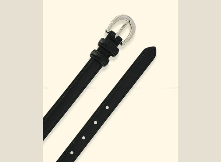 Belt and Buckle 02